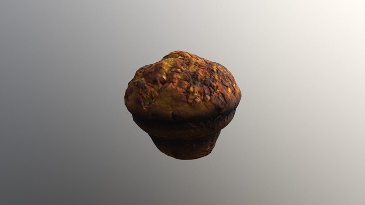 Muffin- class exercise 3D Model