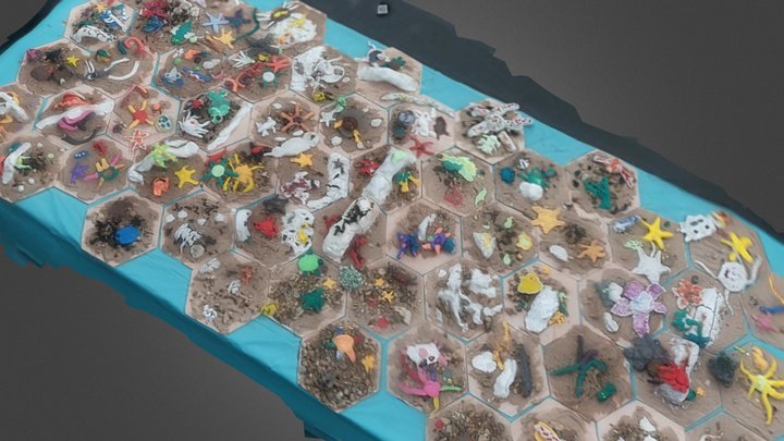Chalk reef by Norwich Science Festival 2023 3D Model