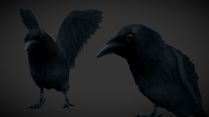 Crows 3D Model