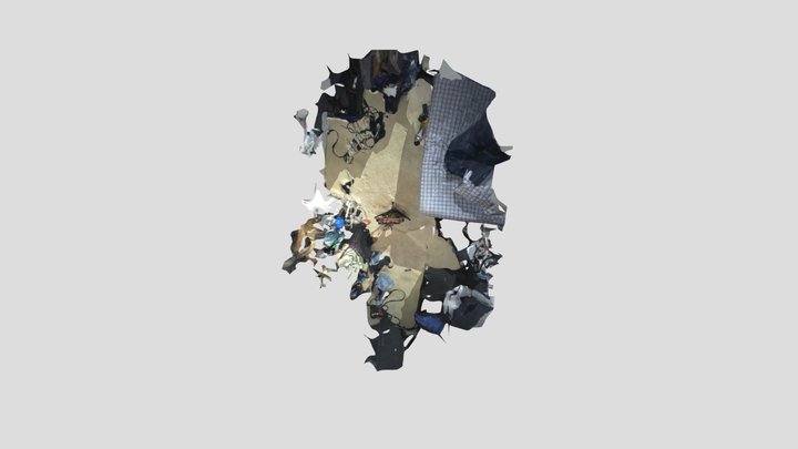 Mitch's guitar 3D Model