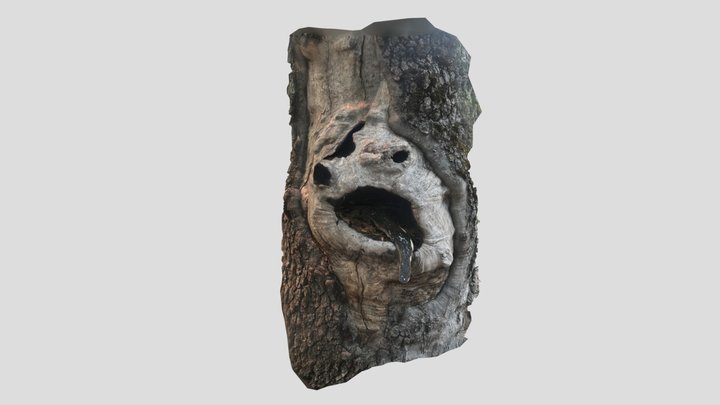 Tronco recortado 3D Model