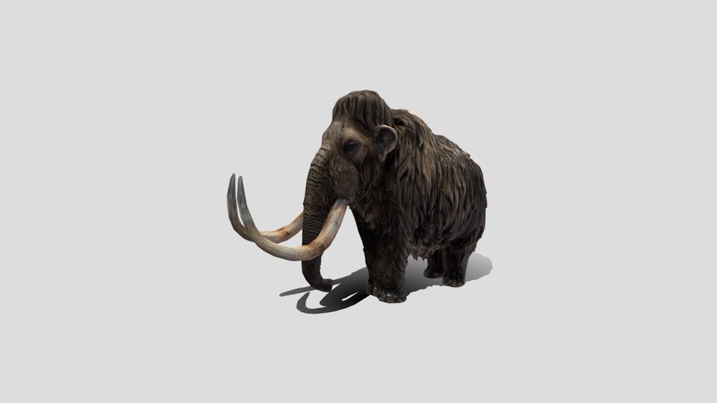 Mudium Poly Mammoth 🦣 3D Model Free