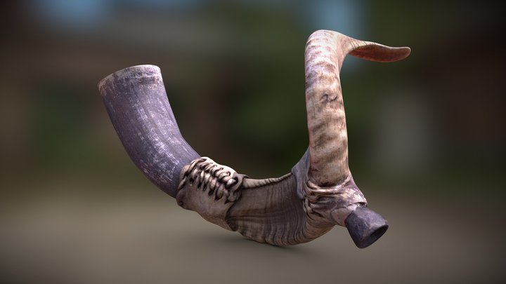 CEREMONIAL HUAQRAPUTUTO 17k 3D Model