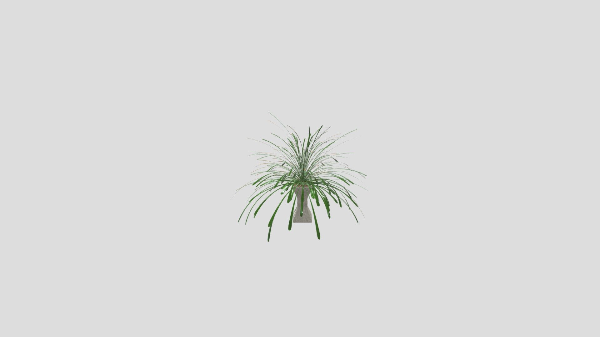 Houseplant No.1