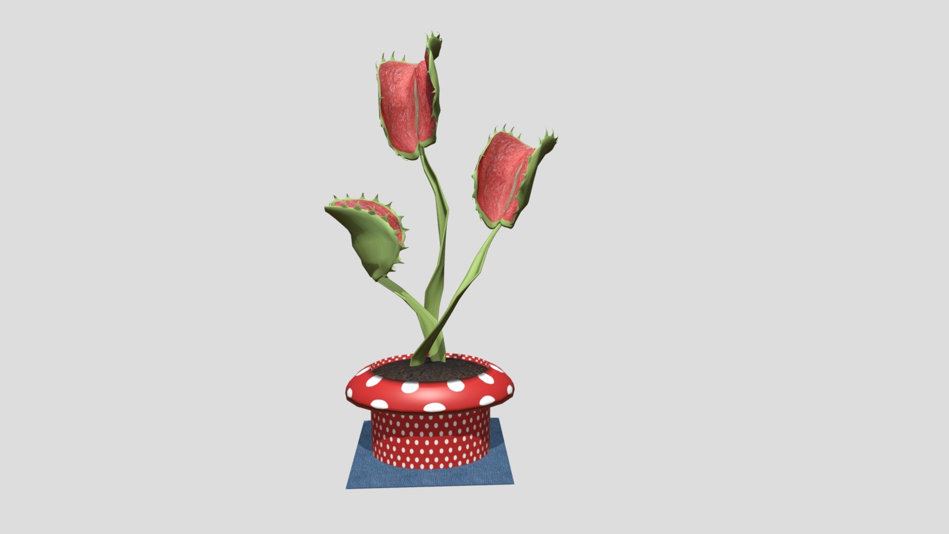 Venus Flytrap