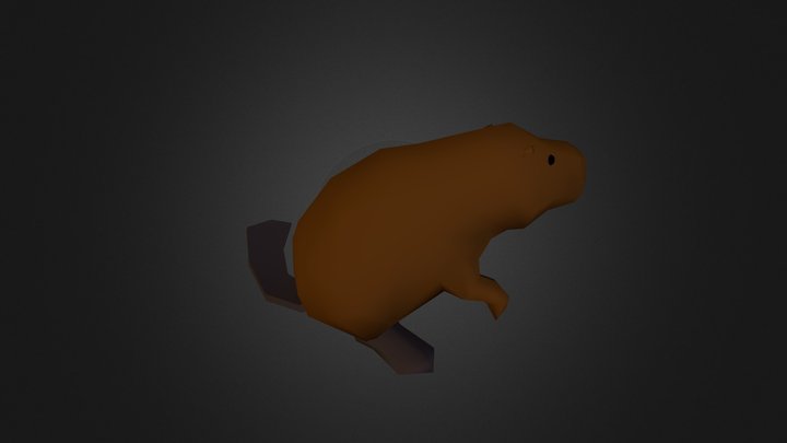 16_baver 3D Model