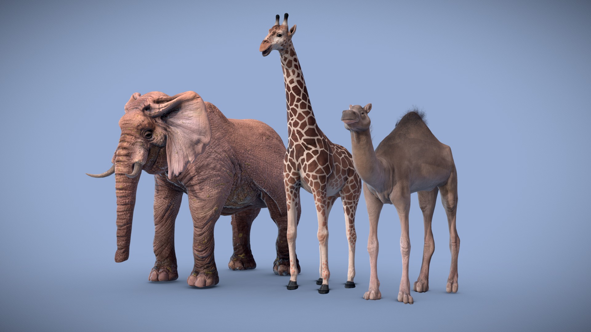 3D model Animal Pack 1 - This is a 3D model of the Animal Pack 1. The 3D model is about a group of elephants and a giraffe.
