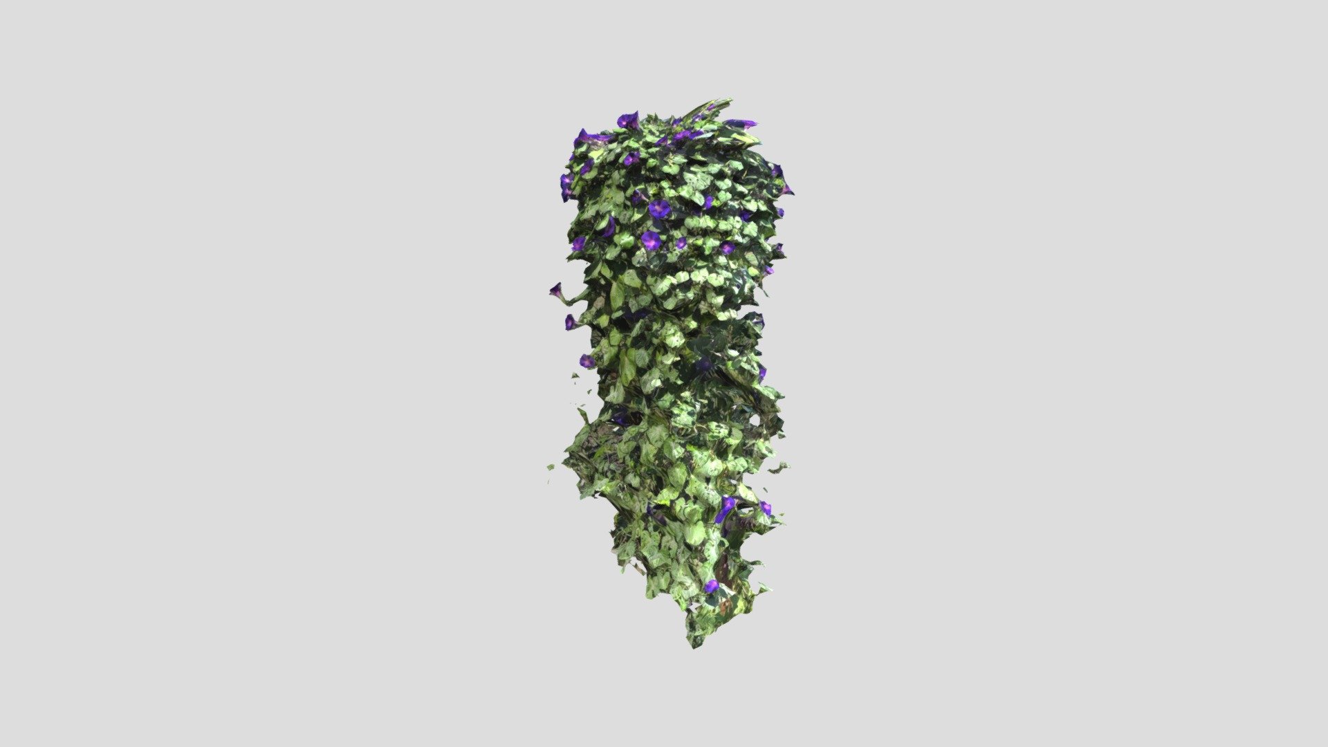 Plant of destiny