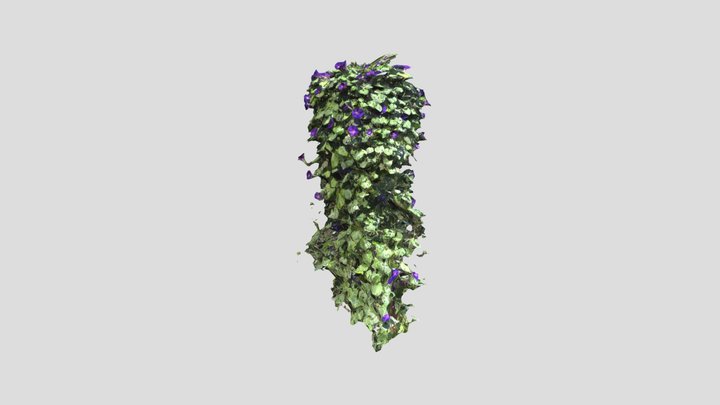 Plant of destiny 3D Model