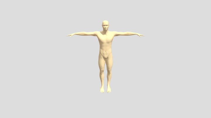 NgheAntoplist - 3D- Human Base 3D Model
