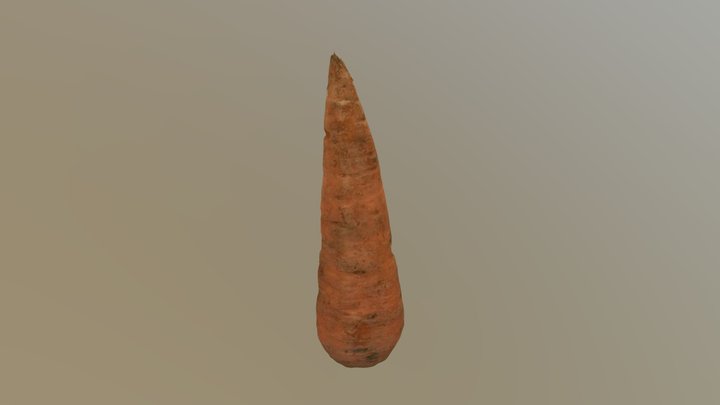 carrot 3D Model
