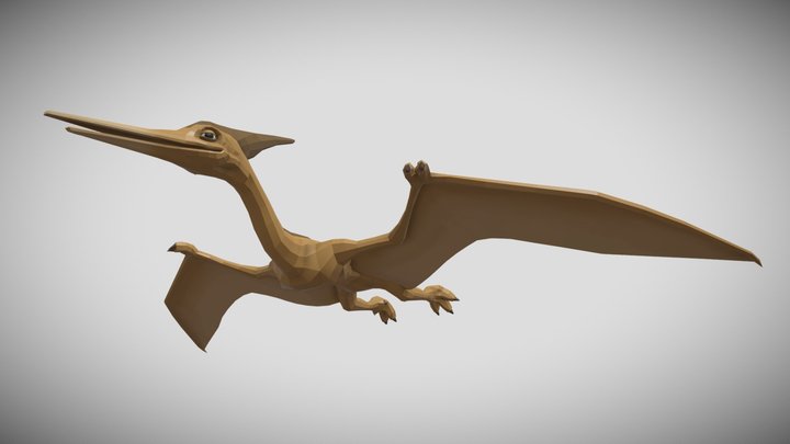 [Low Poly] Pterosaurs 3D Model