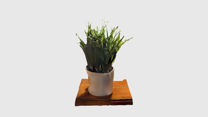 Plant 3D Model