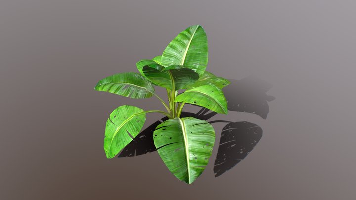 Plant 3D Model