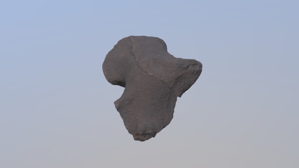 Unidentified thescelosaur bone