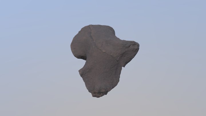 Unidentified thescelosaur bone 3D Model
