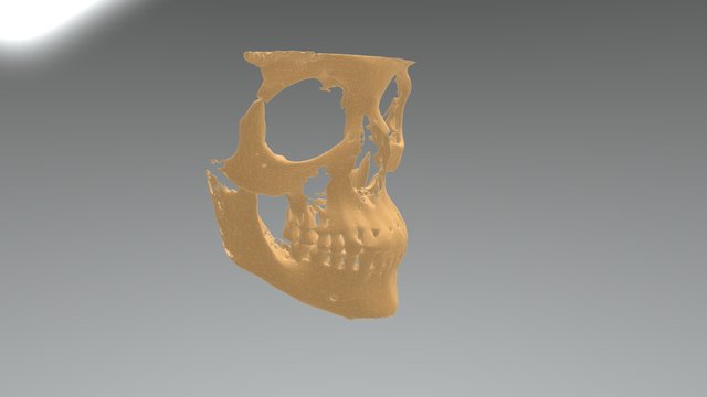 Dental Study 3D Model