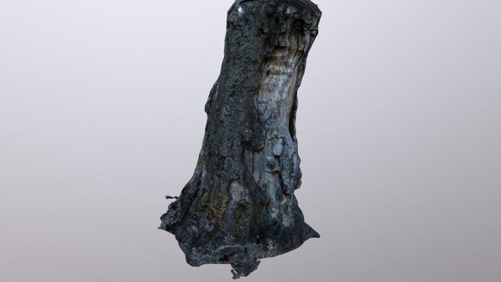 Tree Final 3D Model