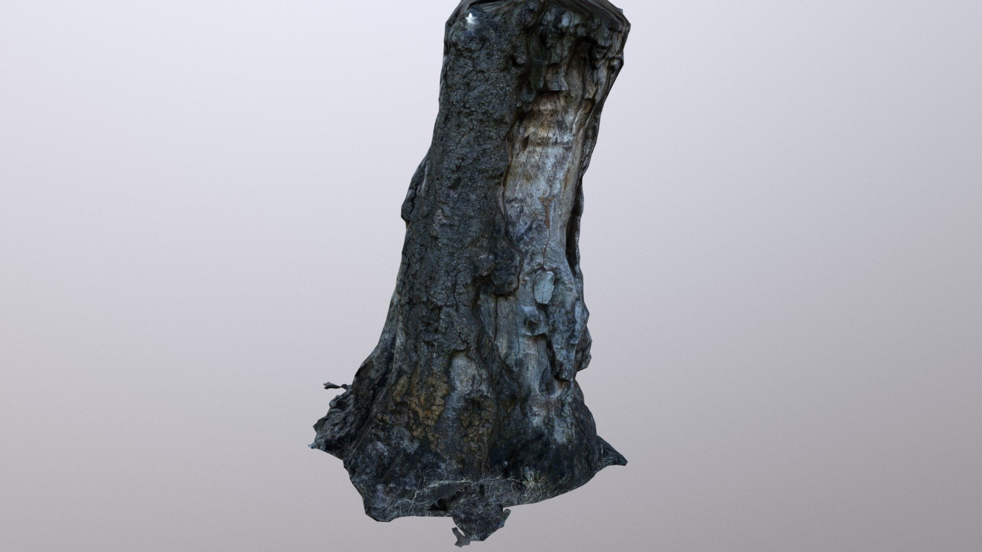 Tree Final