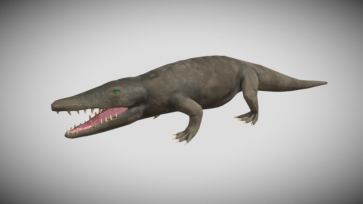 Alligator 3D Model