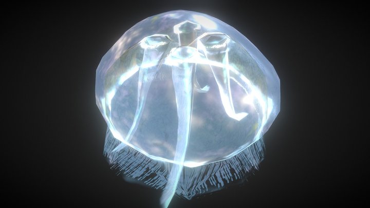 Jelly Fish Rigged 3D Model