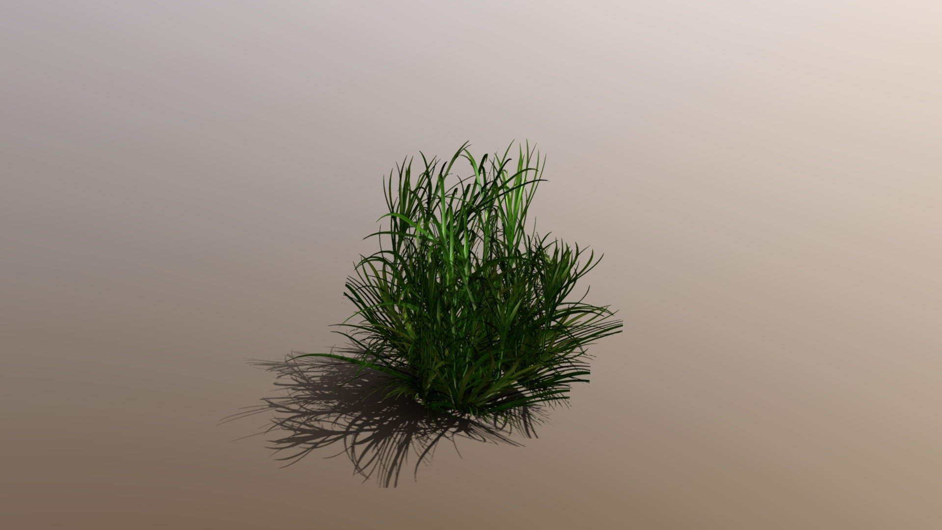 Grass Buy Royalty Free 3D model by Luis Gustavo (Luissantos2