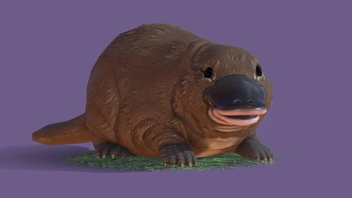 Platypus 3D Model