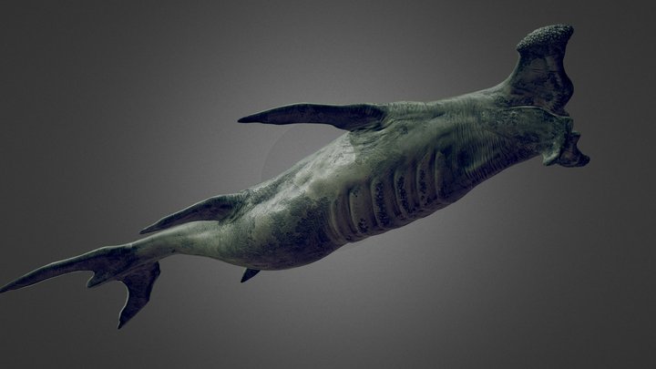 SEA MONSTERS - A 3D model collection by Otnaire (@azshura) - Sketchfab