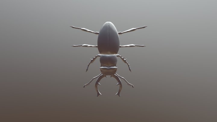 15927 Stag Beetle V1 3D Model