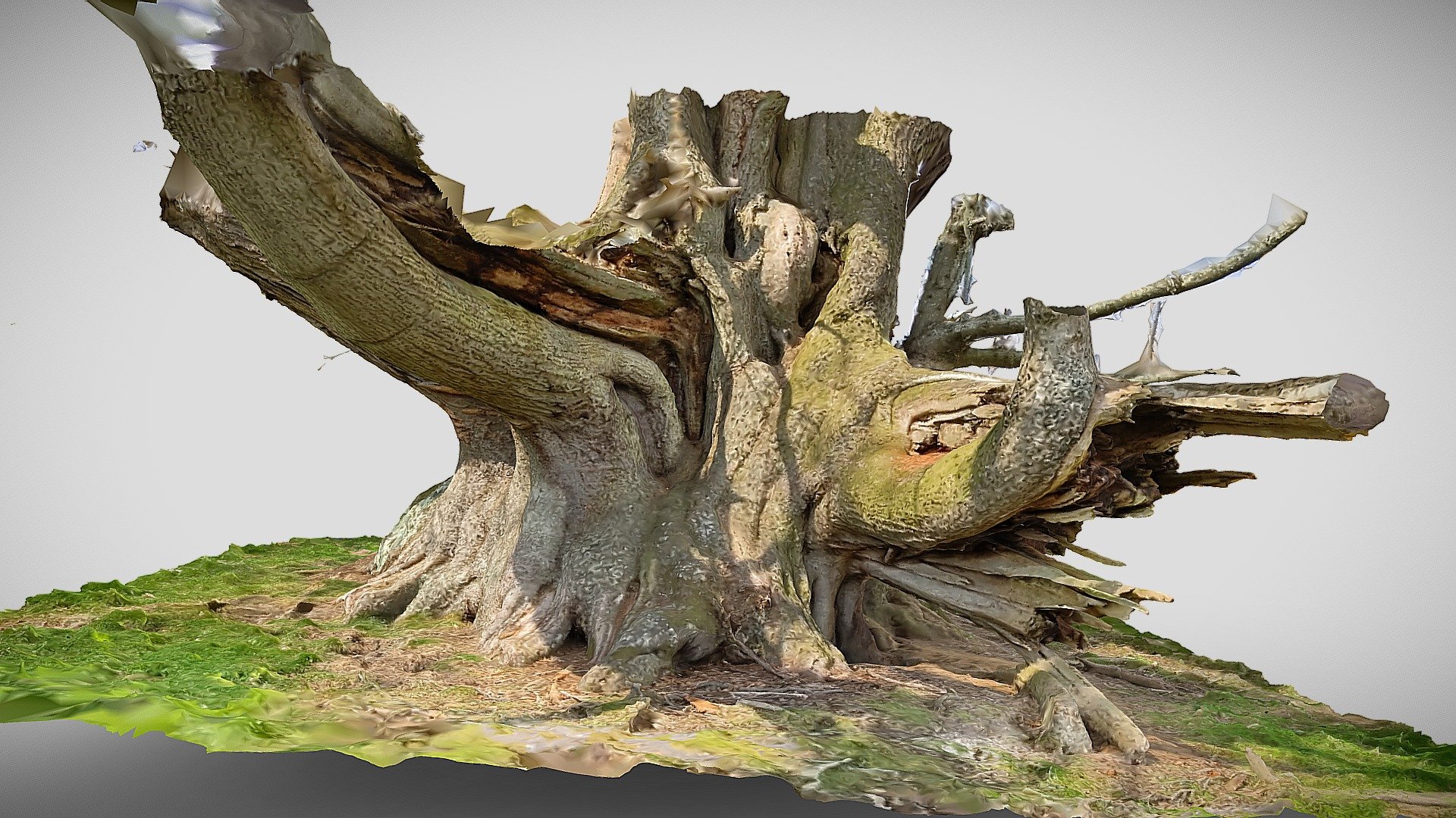 The Cowdray Colossus - 3D model by kungphil [29ed6bf] - Sketchfab