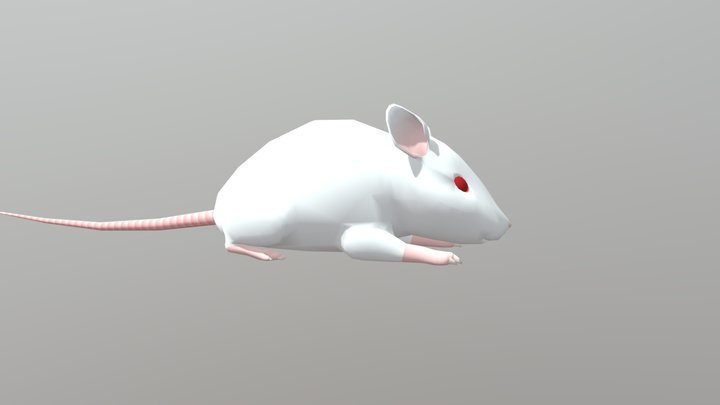 ハツカネズミ 3D Model