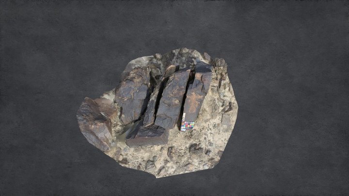 Rock Carving at Dadarbati Das (Rock 75) 3D Model