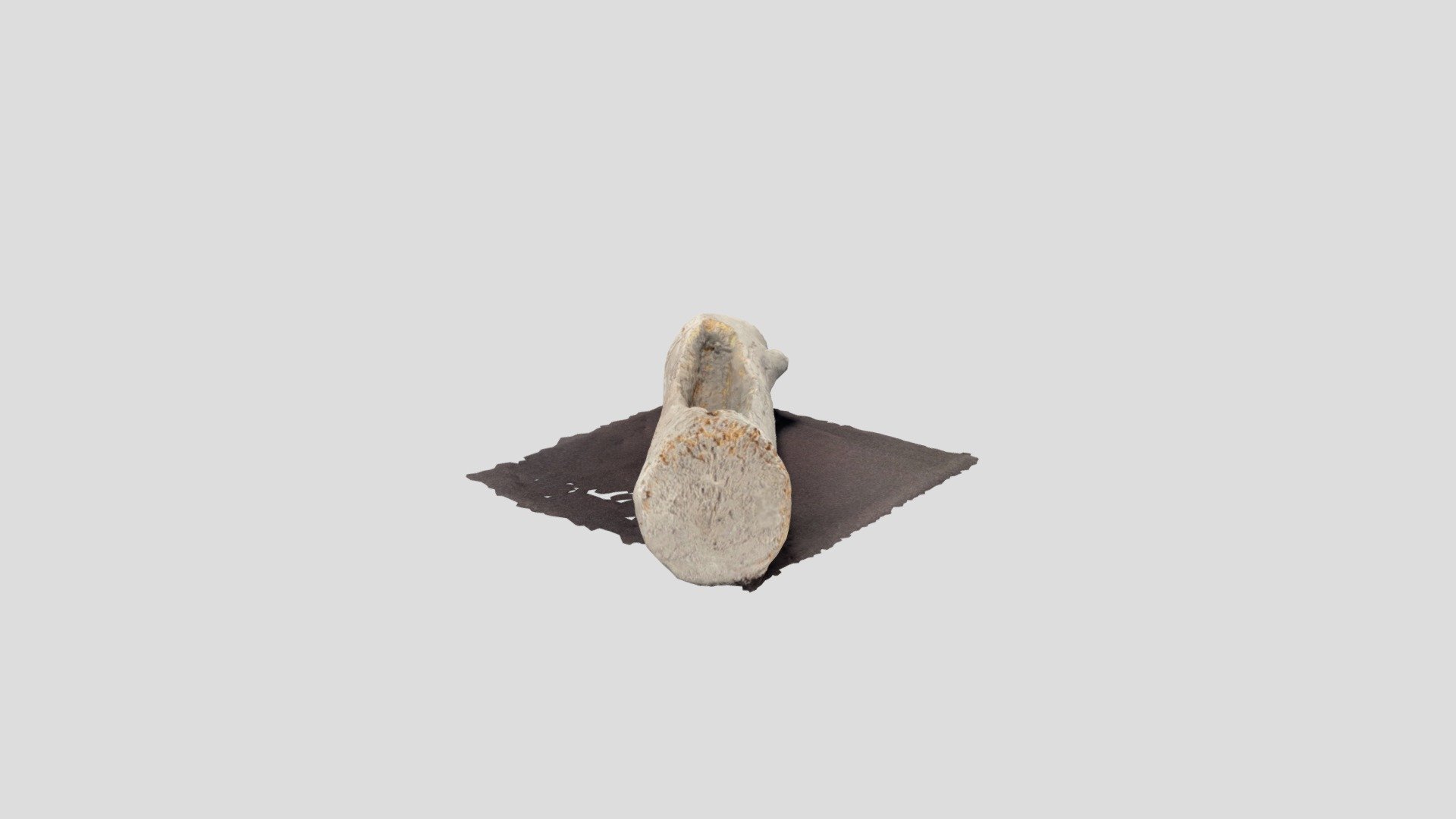 Zoey- Canoe