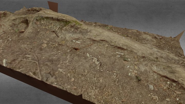 Ground Roots Limburg Mheer 3D Model