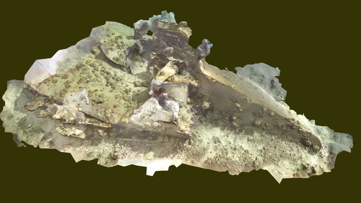 T1 bow, Palau 3D Model