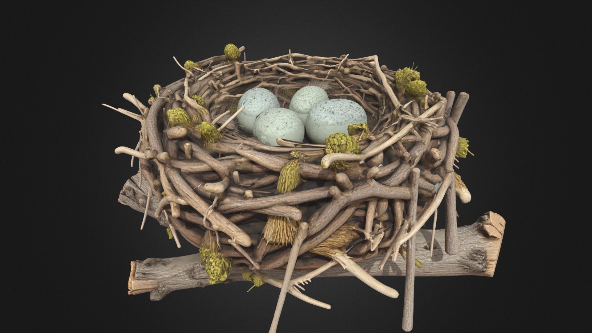 Abandoned Bird Nest with Eggs - Download Free 3D model by Pigcraft
