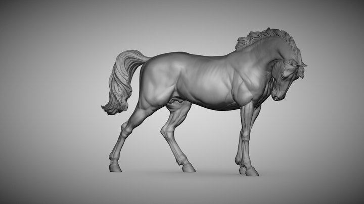 #Horse 3D Model