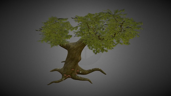 Tree 3D Model