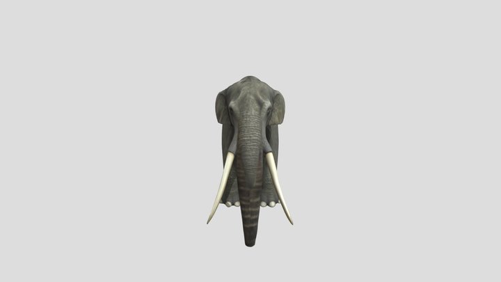 Stegoterabelodon Carnivores 3D Model