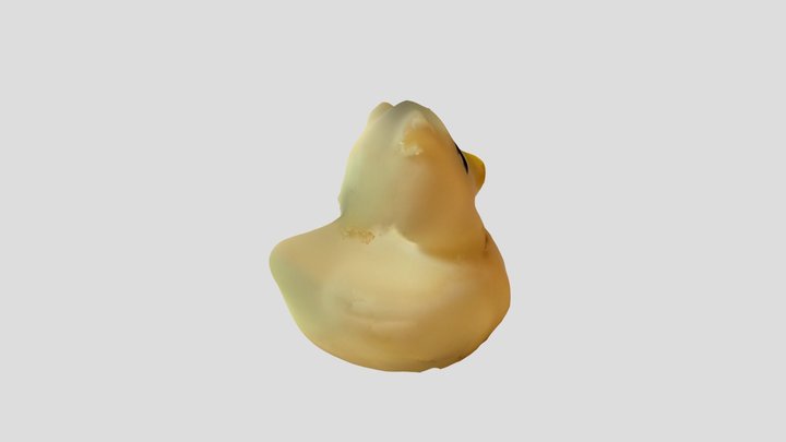 New Qlone 3D Model