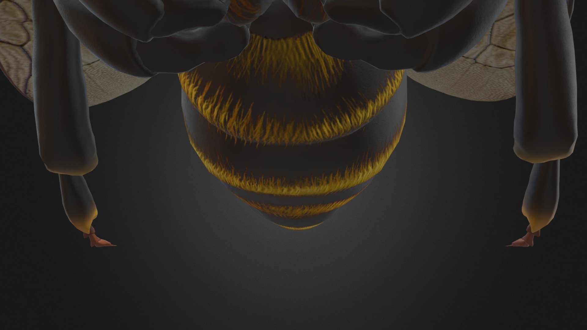 bee - 3D model by dadina [29ff3fa] - Sketchfab