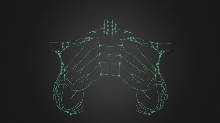 lymph_OBJ_curt.zip 3D Model