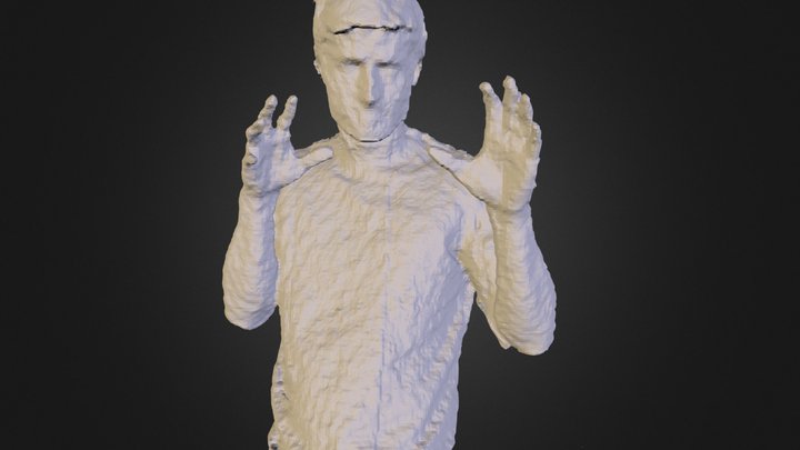 Tema's torso 3D Model