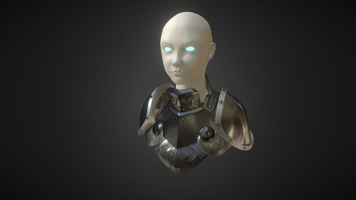 Armor Practice 3D Model