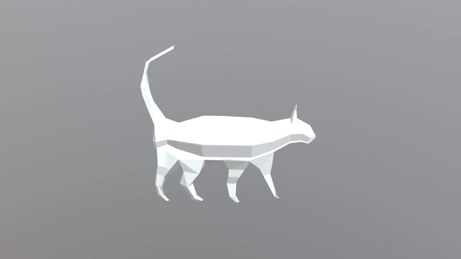 Gatto Nuovo
