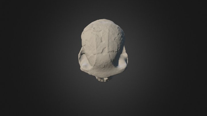 Ardipithecus Ramidus 3D Model