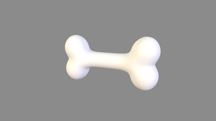 Bone 3D Model