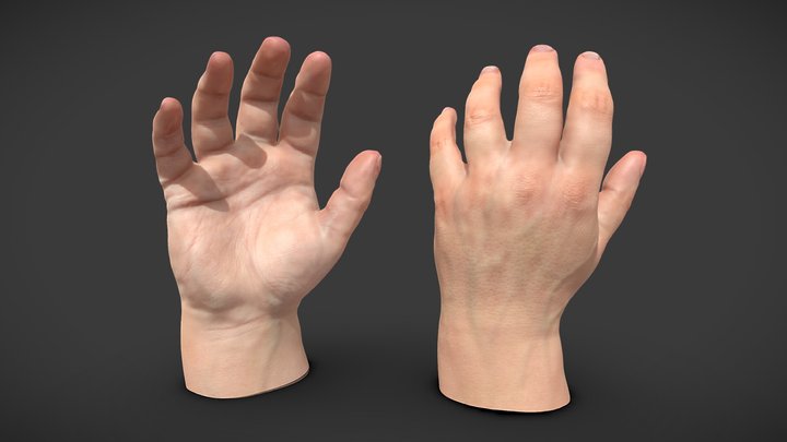 Hand Game-Ready 3D Model