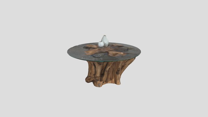 Driftwood Elegance 3D Model