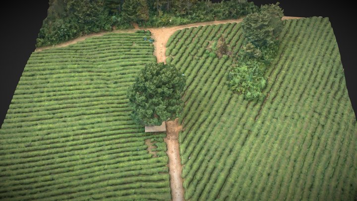 Tea garden – Kostenloses 3D-Modell STL